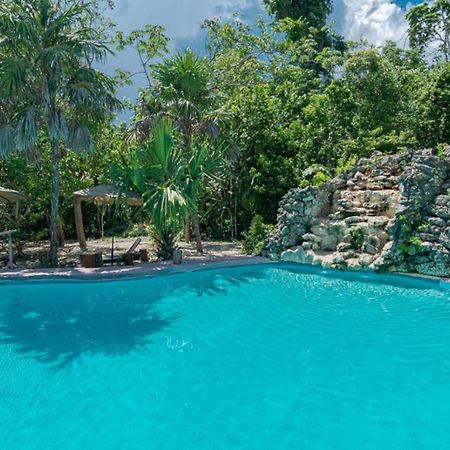 Jolie Jungle Eco Hotel (Adults Only) Leona Vicario Eksteriør bilde