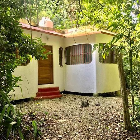 Jolie Jungle Eco Hotel (Adults Only) Leona Vicario Eksteriør bilde