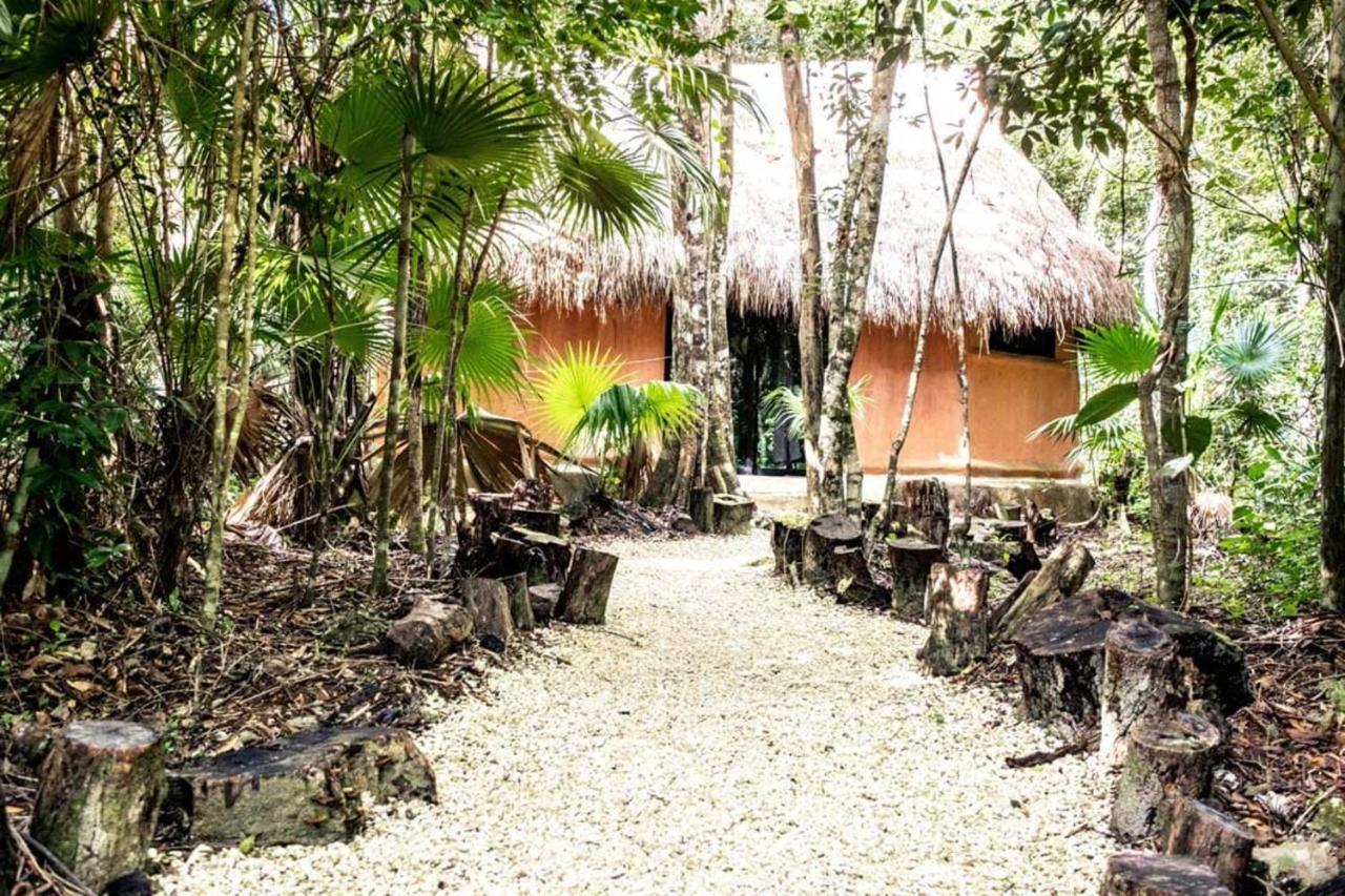 Jolie Jungle Eco Hotel (Adults Only) Leona Vicario Eksteriør bilde
