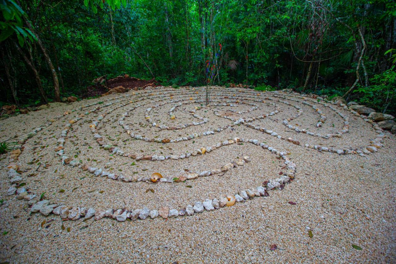 Jolie Jungle Eco Hotel (Adults Only) Leona Vicario Eksteriør bilde