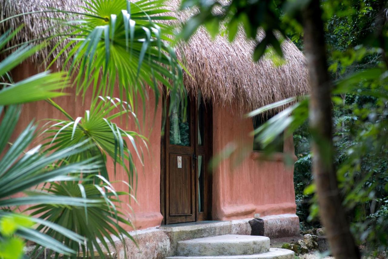 Jolie Jungle Eco Hotel (Adults Only) Leona Vicario Eksteriør bilde