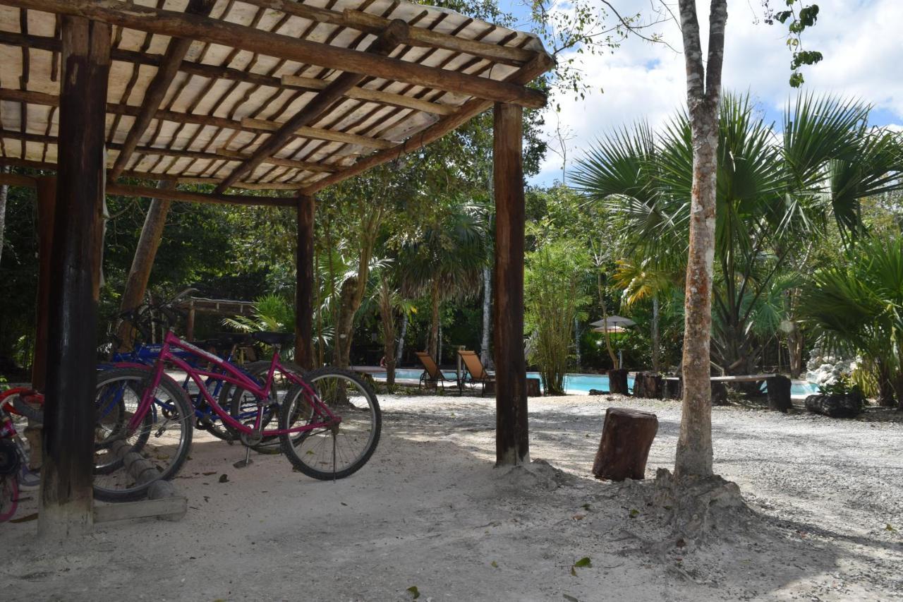 Jolie Jungle Eco Hotel (Adults Only) Leona Vicario Eksteriør bilde