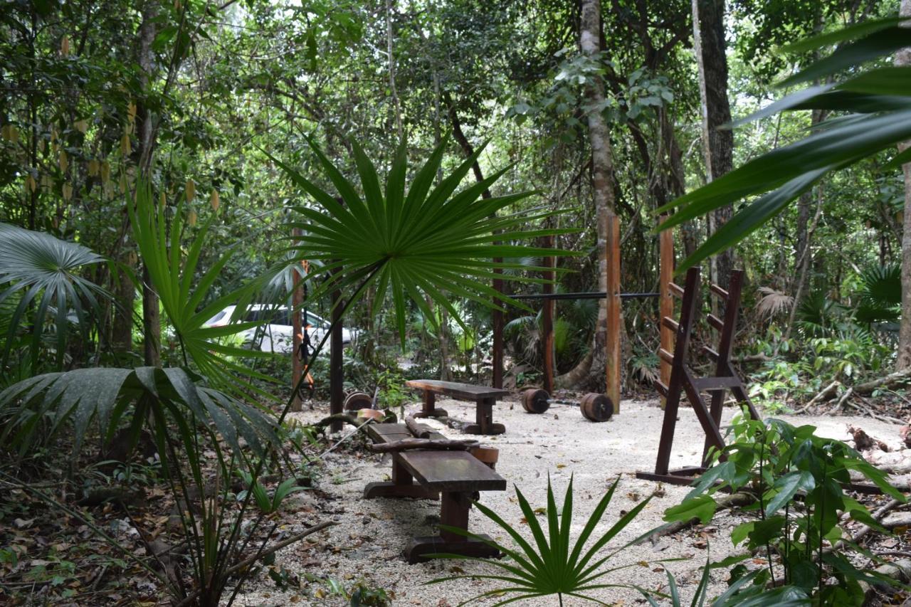 Jolie Jungle Eco Hotel (Adults Only) Leona Vicario Eksteriør bilde