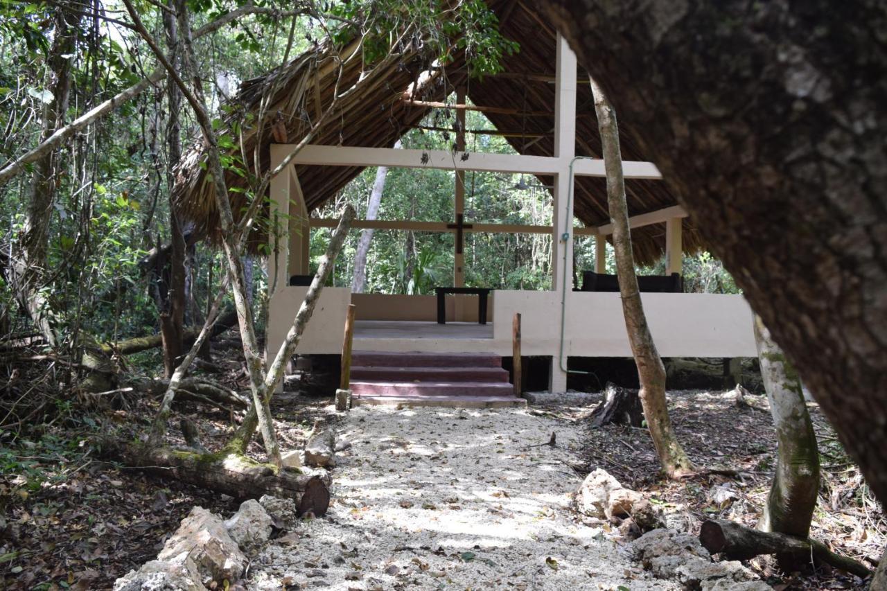 Jolie Jungle Eco Hotel (Adults Only) Leona Vicario Eksteriør bilde