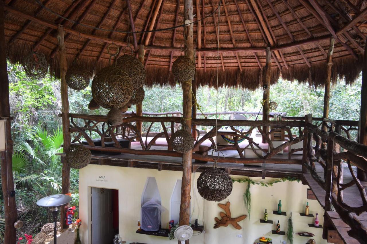 Jolie Jungle Eco Hotel (Adults Only) Leona Vicario Eksteriør bilde
