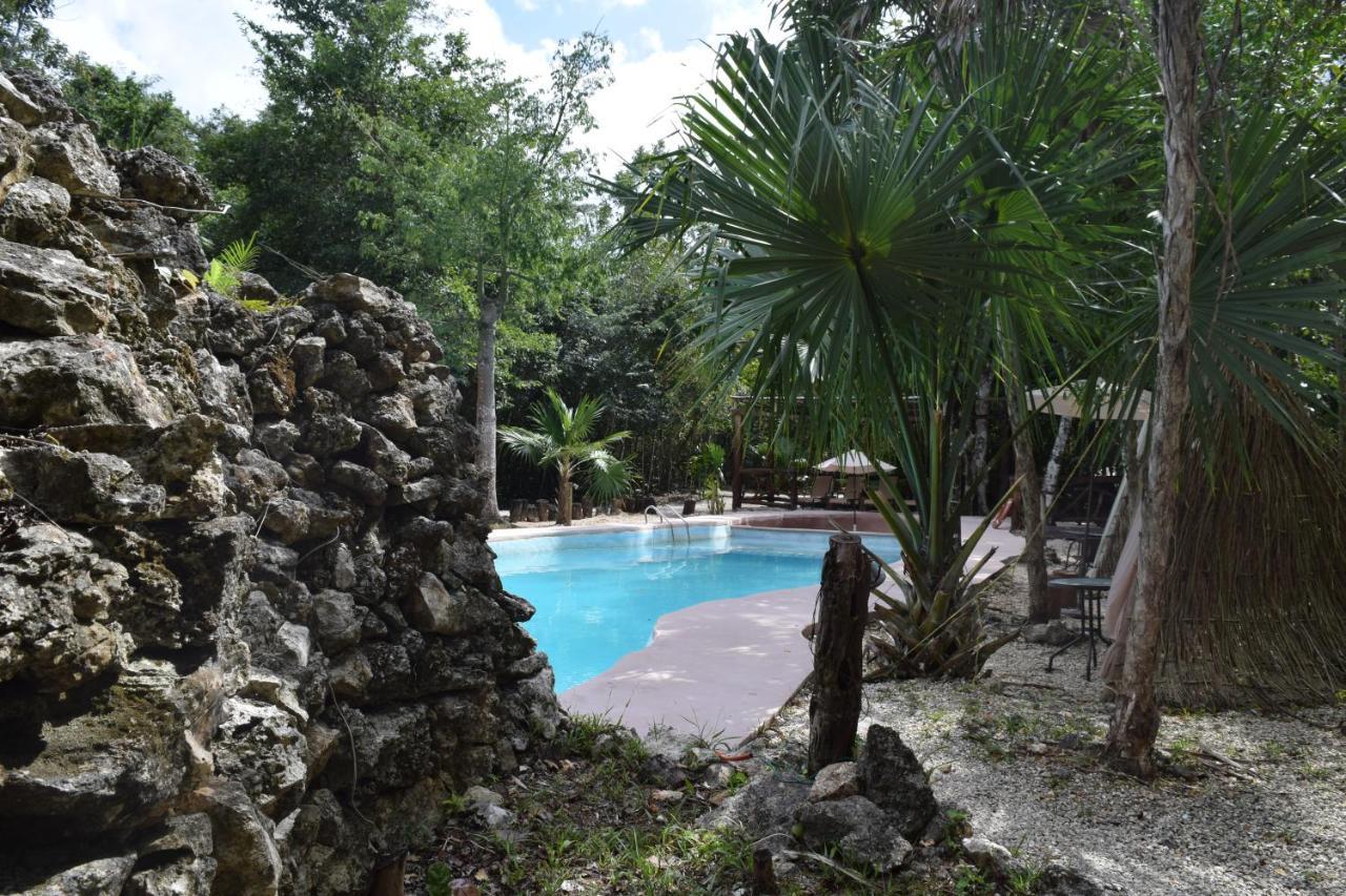 Jolie Jungle Eco Hotel (Adults Only) Leona Vicario Eksteriør bilde