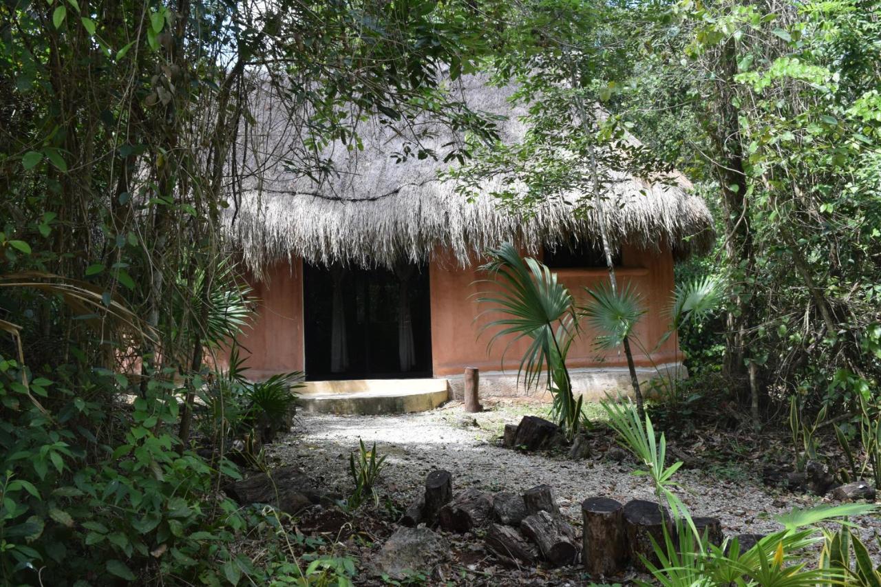 Jolie Jungle Eco Hotel (Adults Only) Leona Vicario Eksteriør bilde