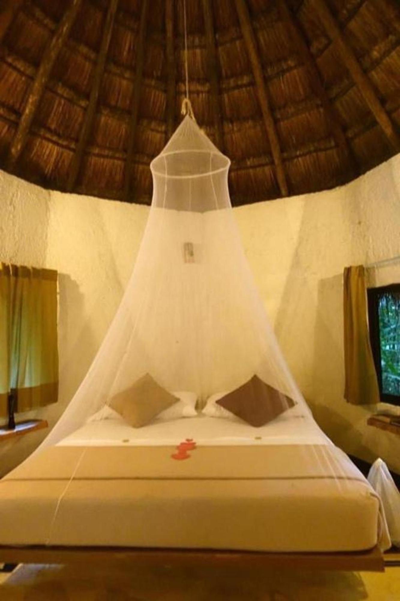 Jolie Jungle Eco Hotel (Adults Only) Leona Vicario Eksteriør bilde