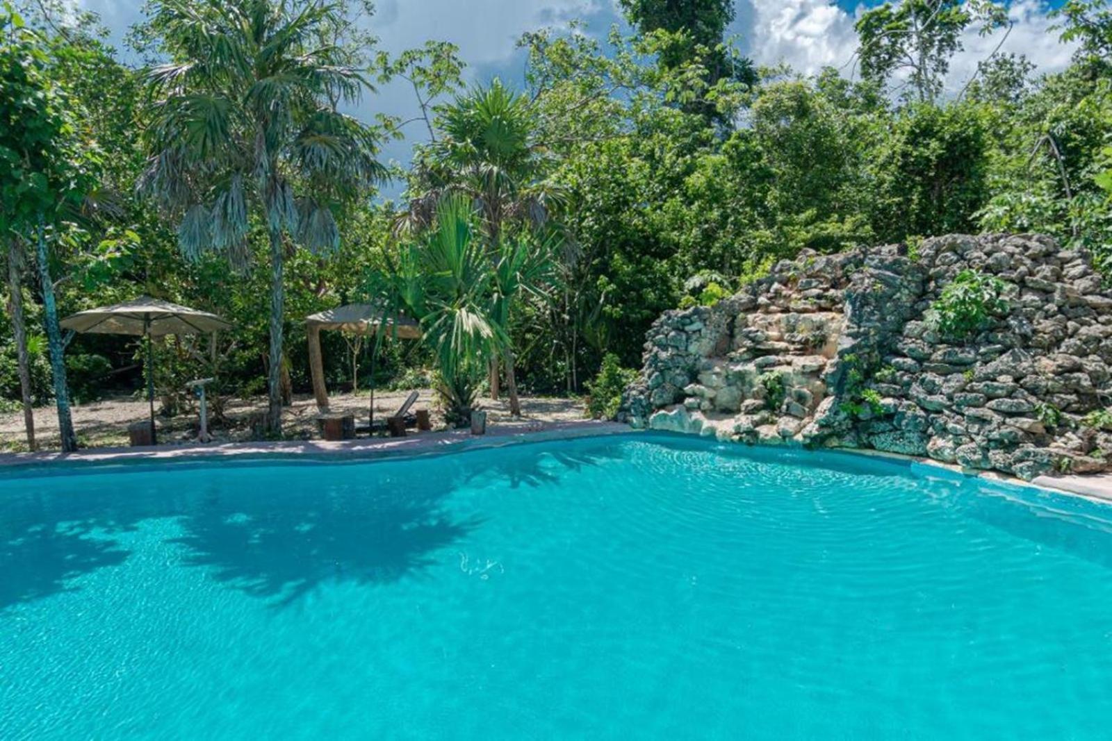 Jolie Jungle Eco Hotel (Adults Only) Leona Vicario Eksteriør bilde