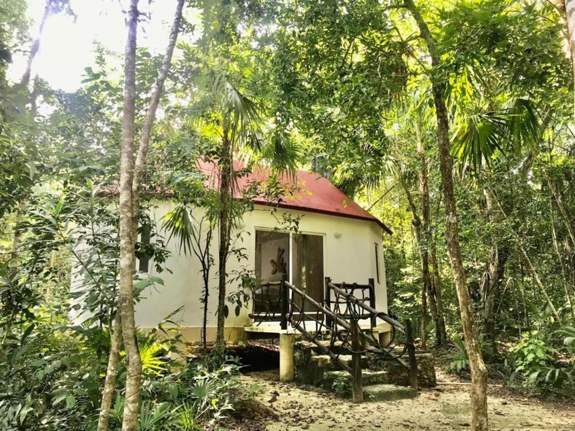 Jolie Jungle Eco Hotel (Adults Only) Leona Vicario Eksteriør bilde