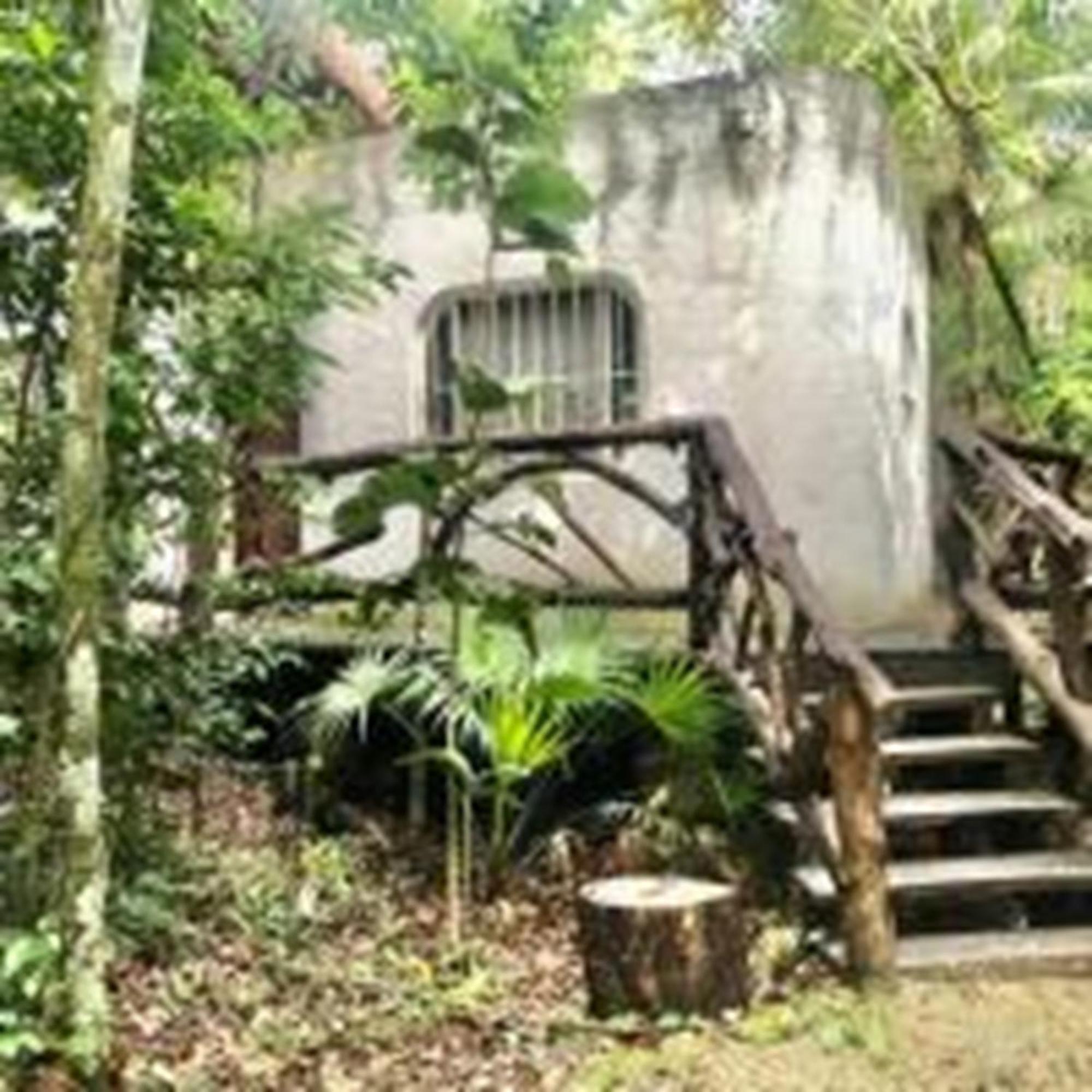 Jolie Jungle Eco Hotel (Adults Only) Leona Vicario Eksteriør bilde