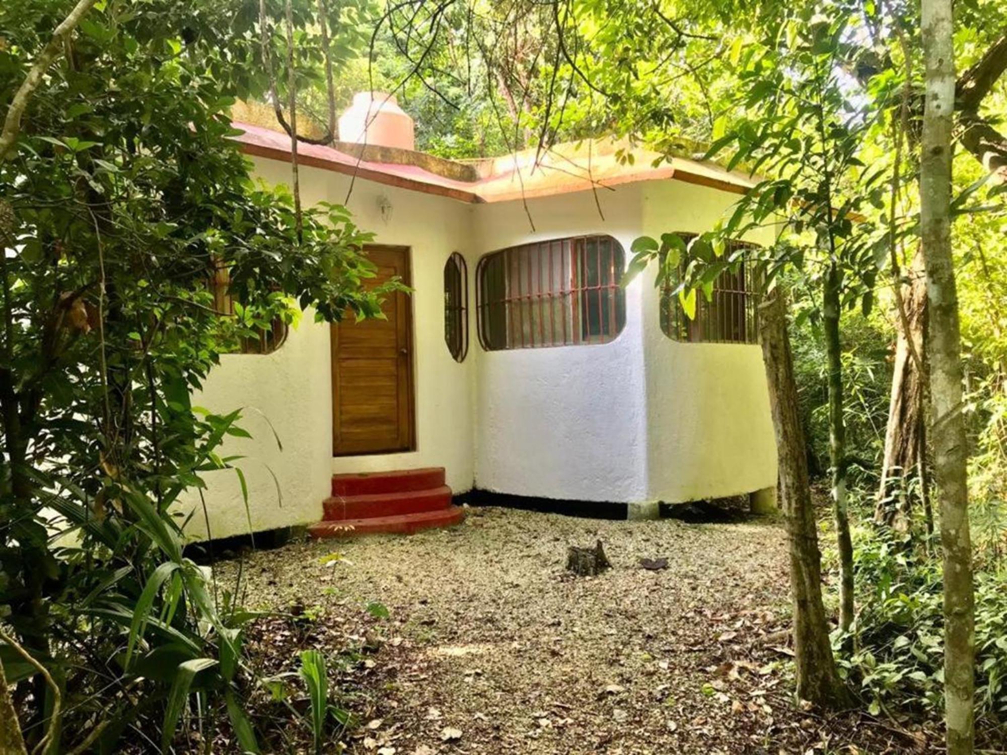 Jolie Jungle Eco Hotel (Adults Only) Leona Vicario Eksteriør bilde