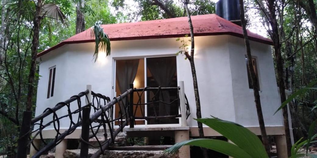 Jolie Jungle Eco Hotel (Adults Only) Leona Vicario Eksteriør bilde
